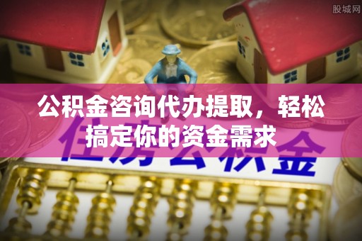 双湖公积金咨询代办提取，轻松搞定你的资金需求