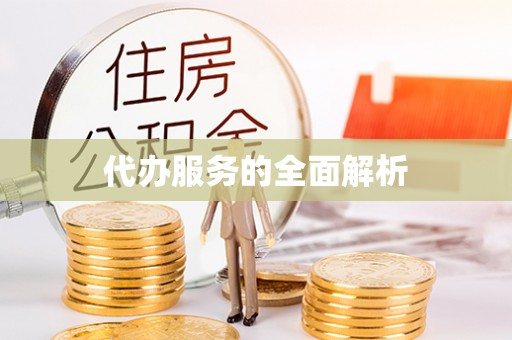 双湖代办服务的全面解析